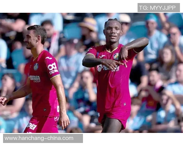 从草根到巅峰 足球球星的奋斗与成名之路